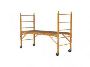 Multi-function Scaffold